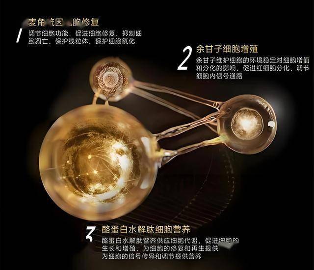 xm外汇代理佣金多少配备实验室、实现综合立体通信 我国海洋考察再添“技术利器”